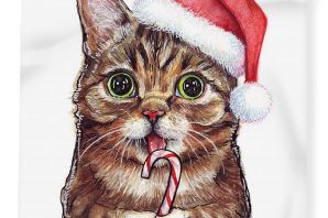 Котик в шапке рисунок