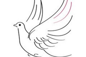 Голубь победы раскраска