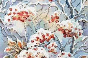 Зимняя рябина рисунок