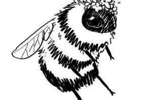 Пчела рисунок карандашом