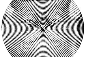 Спироглифы раскраска