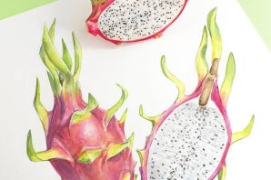 Драконий фрукт рисунок