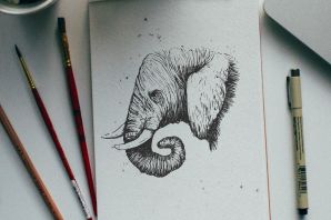 Эскизы животных