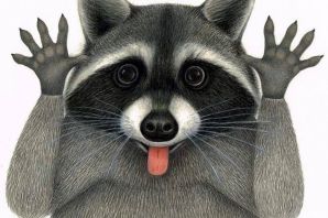 Енот рисунок для детей