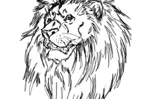 Нарисованный лев