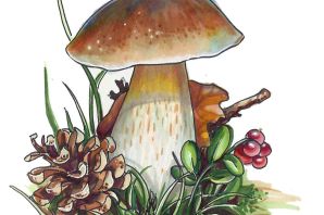 Грибок рисунок для детей