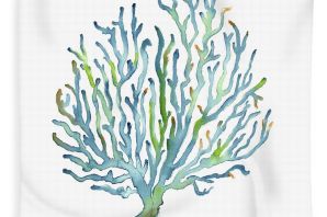 Ламинария рисунок