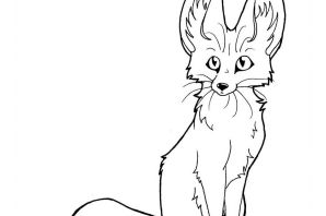 Раскраска лиса