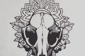 Череп кота рисунок