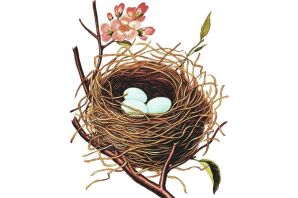 Гнездо рисунок для детей