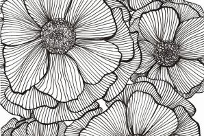 Белые цветы рисунок