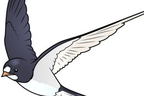 Ласточка рисунок