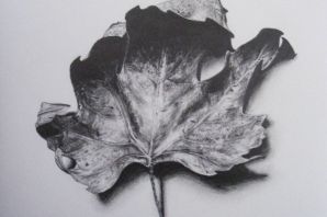 Нарисованный кленовый лист