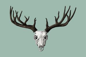 Лицо олень рисунок