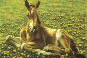 Жеребенок рисунок