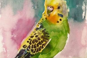 Попугай в клетке рисунок