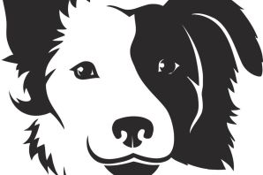 Векторный рисунок собаки