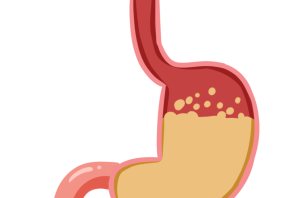 Желудок иллюстрация