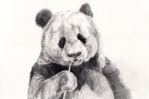 Легкий рисунок медведя