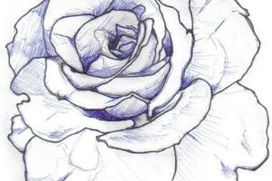 Нарисованные цветы легкие