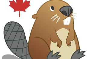 Бобер детский рисунок