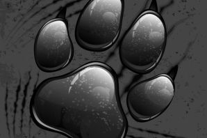 Лапа тигра рисунок