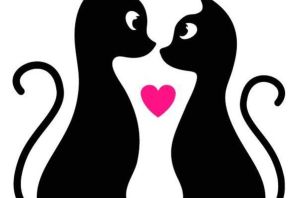 Два кота рисунок