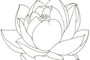 Лотос рисунок для детей