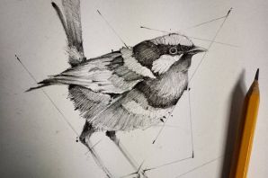 Наброски птиц