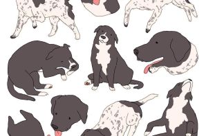 Собака нарисованная