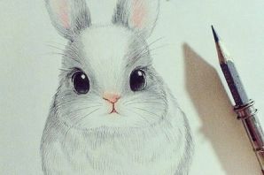 Легкий рисунок животного