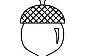 Желудь трафарет