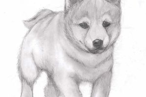Пес рисунок