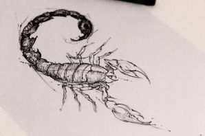 Татуировка скорпион эскиз