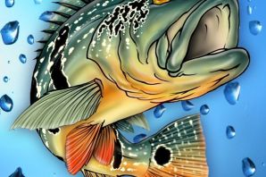 Щука рисунок цветной