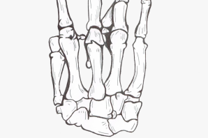 Нарисованные кости на руке