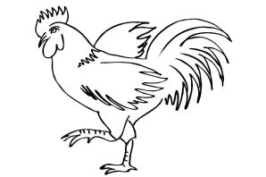 Раскраска петух и курица