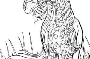 Раскраска вайлд крафт