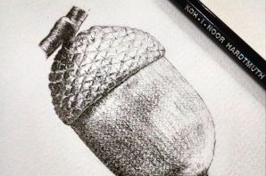 Желудь рисунок карандашом
