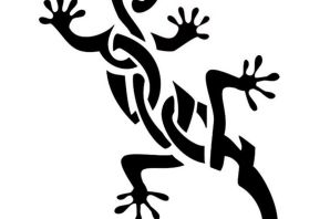 Саламандра рисунок