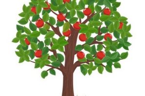 Дерево яблоня рисунок