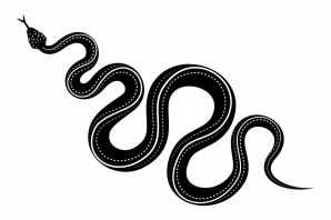 Эскиз прямой змеи
