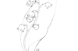 Рисунок ландыша карандашом