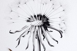 Одуванчик эскиз