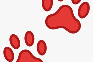 Лапка кота рисунок