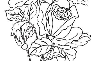 Раскраска букет роз