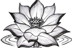 Эскиз цветка