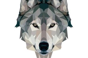 Волк рисунок мультяшный