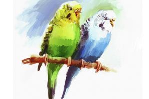 Попугай рисунок для детей