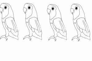 Попугай рисунок легкий